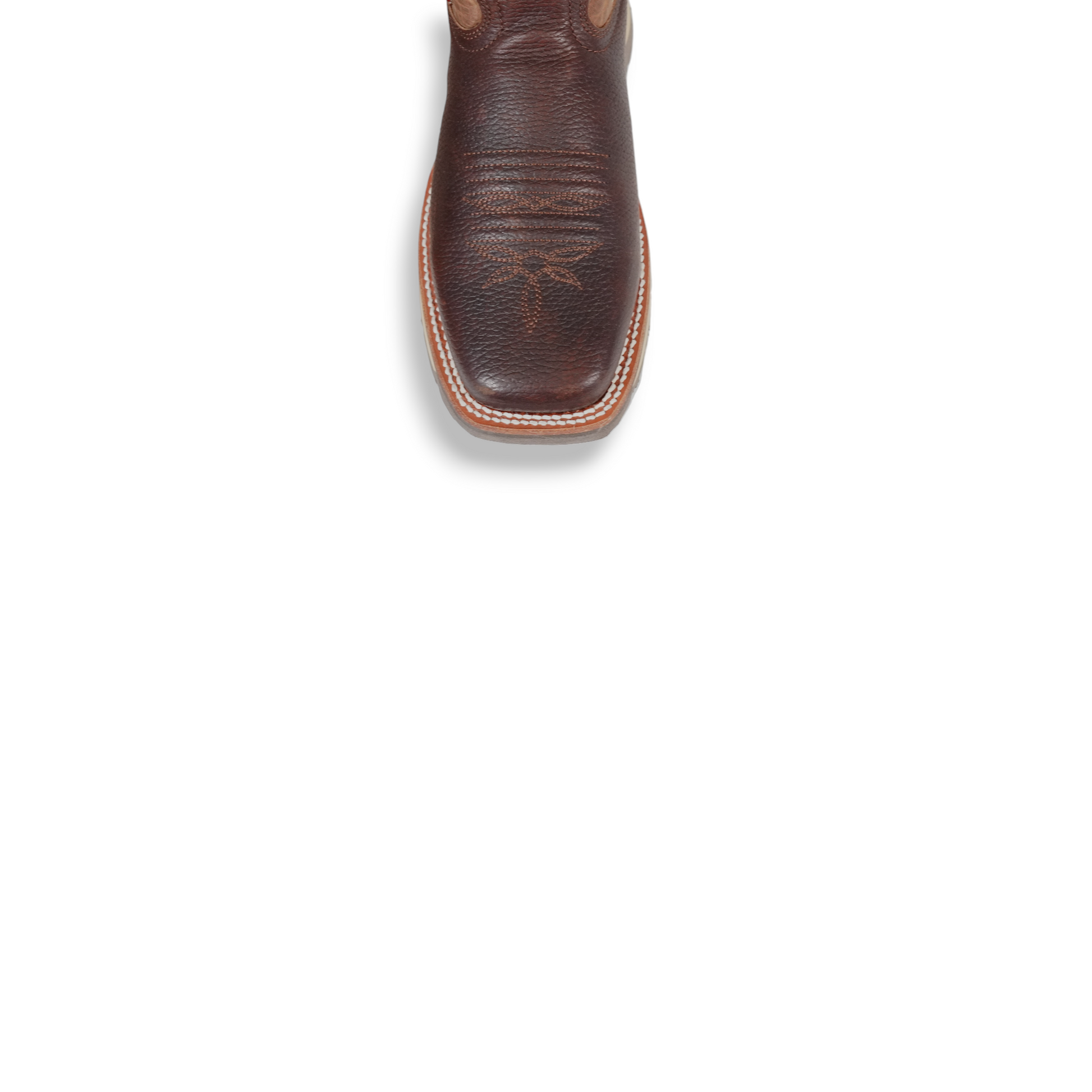 210 Caisson Choco-TX Cafe Raptor