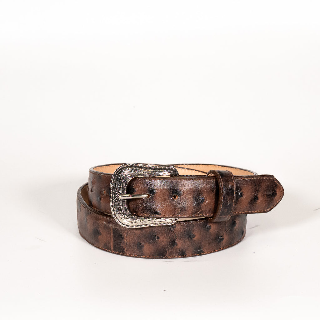 Cinto Infantil Avestruz Cafe Grabado