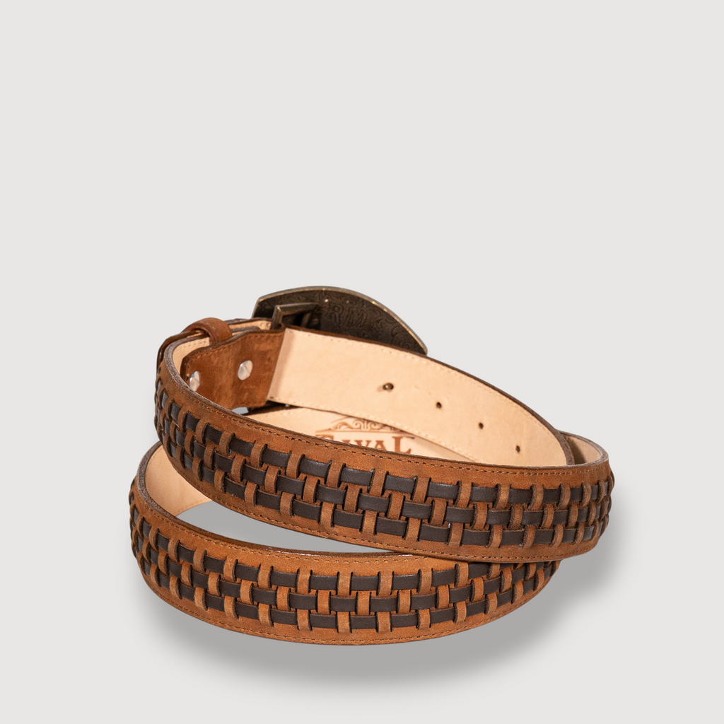 Cinto Petatillo Horse