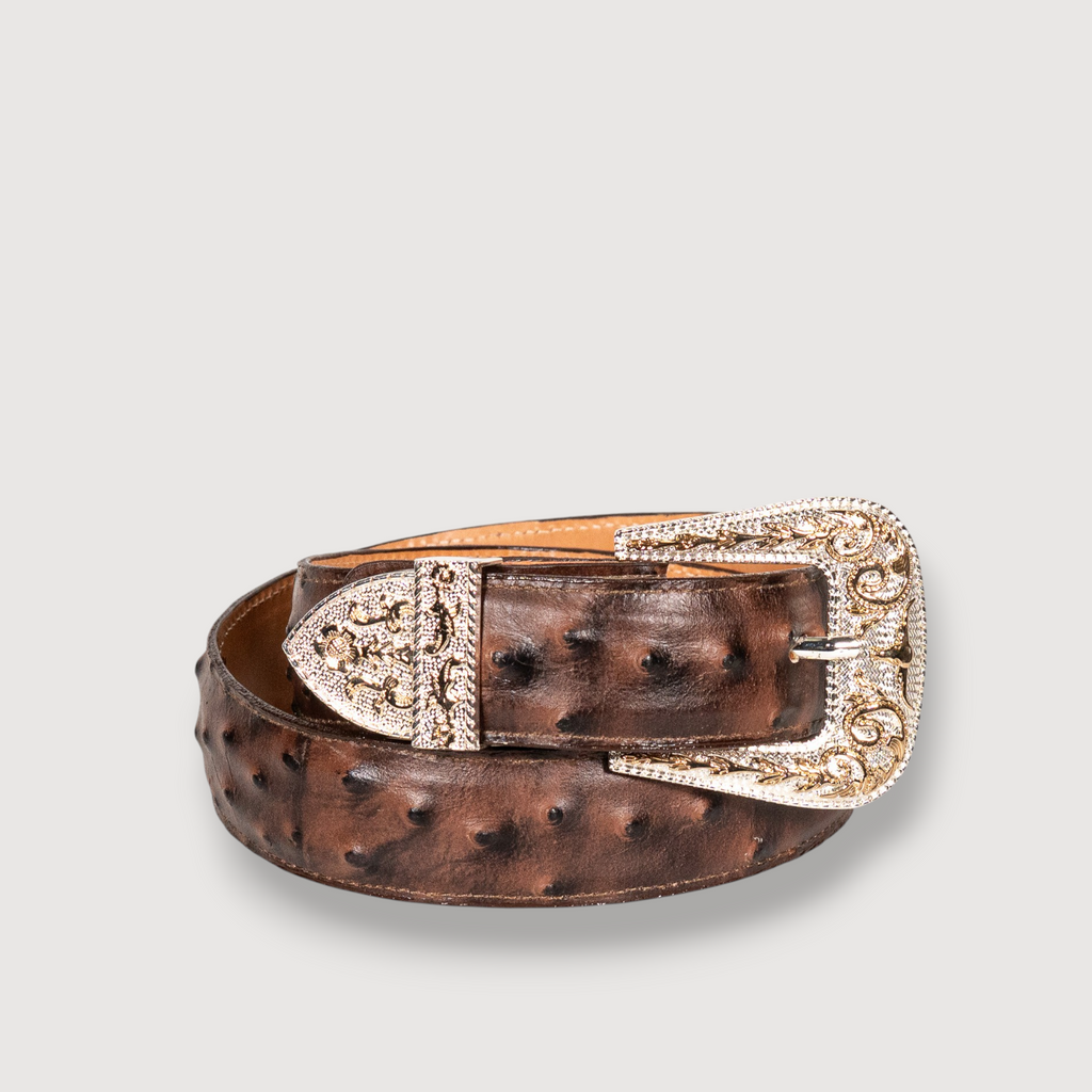 Cinto Avestruz Cafe Grabado