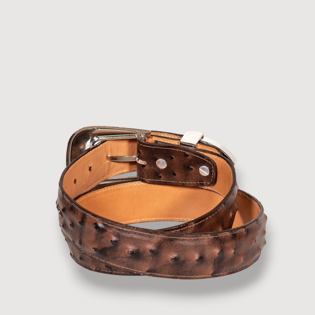 Cinto Avestruz Cafe Grabado