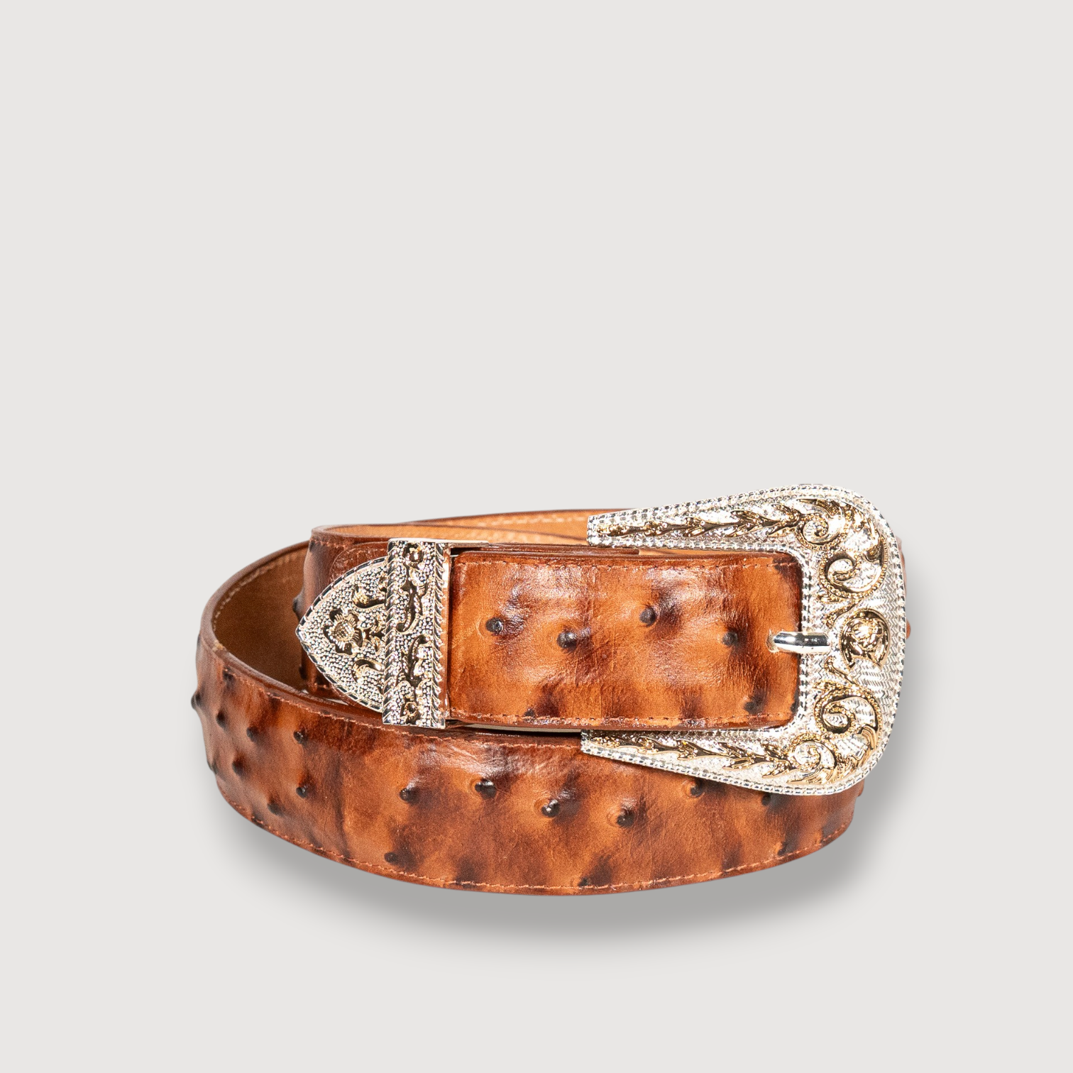 Cinto Avestruz Shedron Grabado