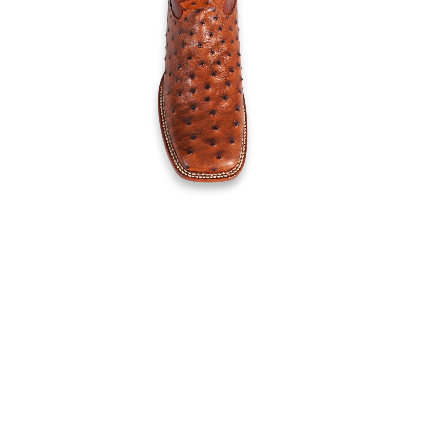 046 Avestruz Shedron Cuero